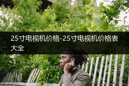 25寸电视机价格-25寸电视机价格表大全